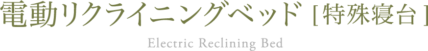 電動リクライングベッド