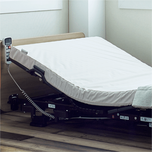 Electric Reclining Bed